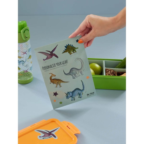 Aufkleber für Rice-Lunchbox Dinosaurier | Rice - Grau